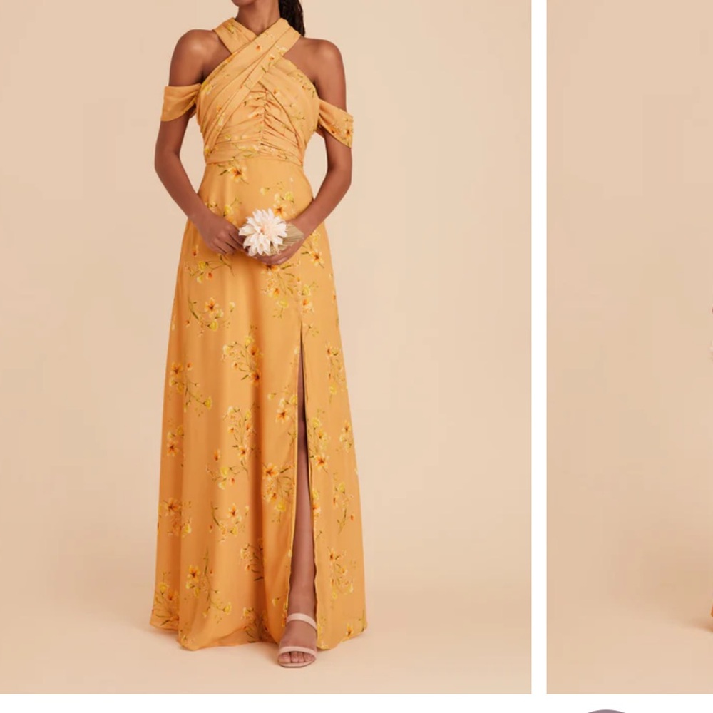 Birdy Grey Clara Dress Chiffon Marigold le Fleur